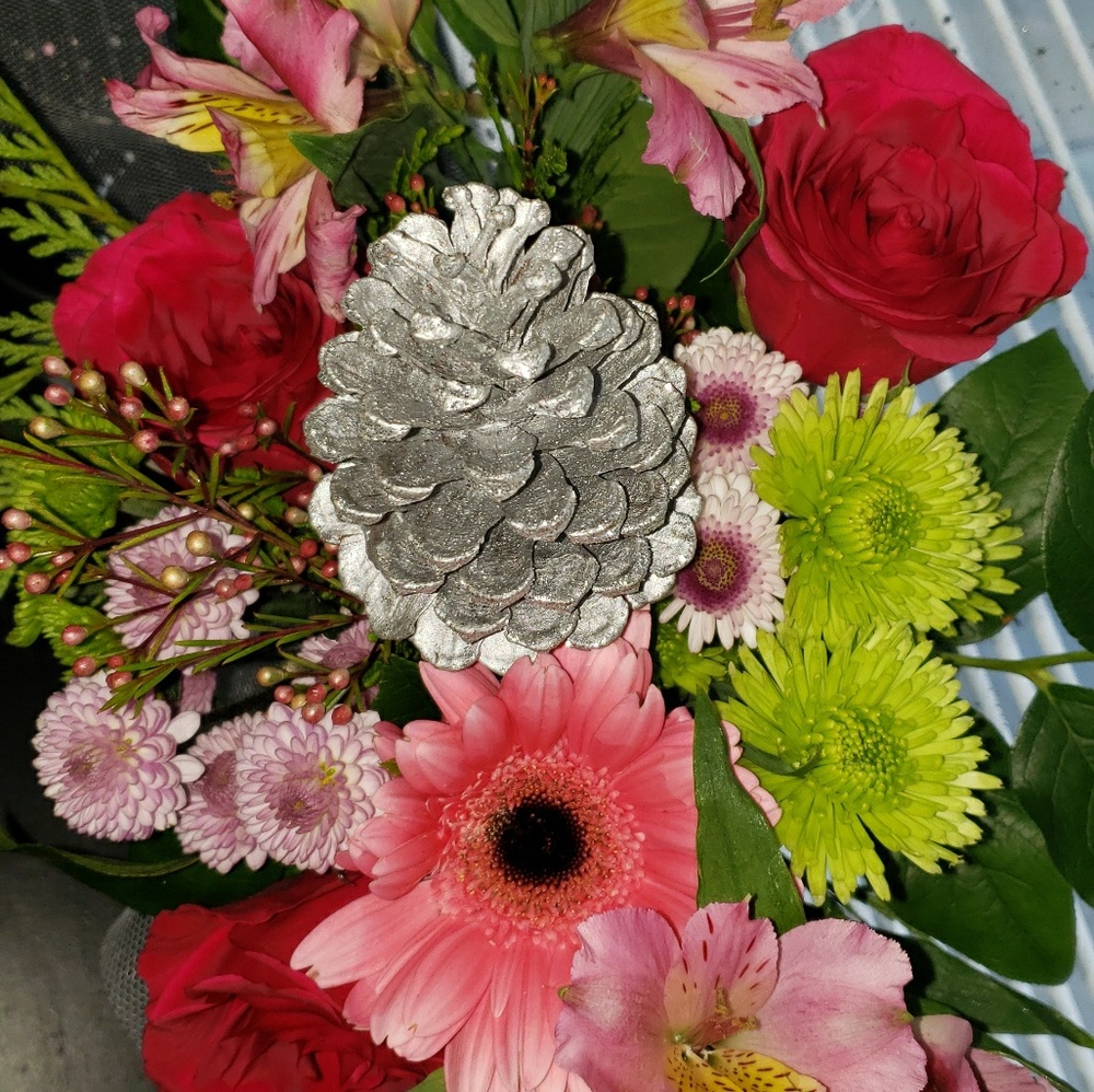 Meet your Posher, Lili